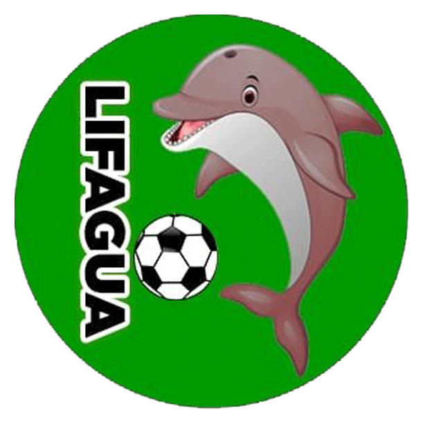 Liga de fútbol de Guiainia